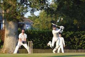 Image result for Coleshill Cricket Club