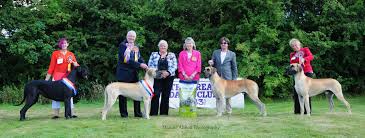 Image result for Great Dane Handball Club, Wapping, London