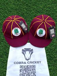 Image result for Barton Cricket Club