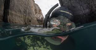 Image result for Torbay Sub-Aqua Club