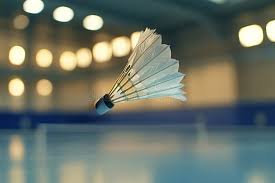 Image result for Flying Rackets Badminton Club