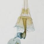 Attēlu rezultāti vaicājumam “Epicallima formosella”