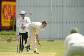 Image result for LITTLE GADDESDEN CRICKET CLUB