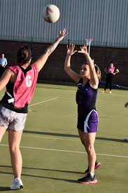 Image result for Falcons Netball Club