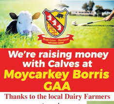 Image result for Moycarkey-Borris Gaa Club