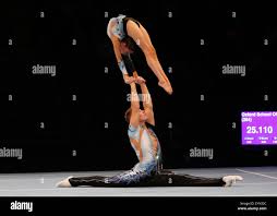 Image result for Harriers Acrobatic Gym Club