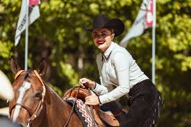 Image result for South Weylands Equestrian
