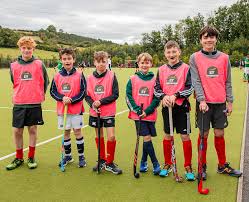 Image result for Annadale Hockey Club
