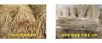 Image result for 붶