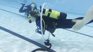 Image result for Eltham and District Sub Aqua Club