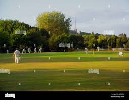 Image result for London Fields Cricket Club