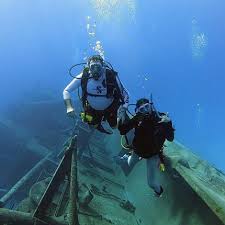 Image result for Seabug Divers