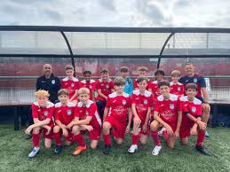 Image result for Walton & Hersham Football Club