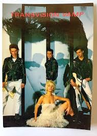 Image result for transvision vamp