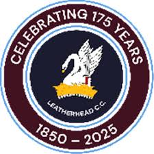 Image result for Leatherhead Swans Club