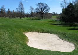 Image result for Braehead Golf Club