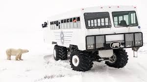 Image result for tundra buggy