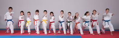 Image result for Taunton Karate Jutsu
