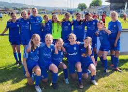 Image result for Braunton Football Club