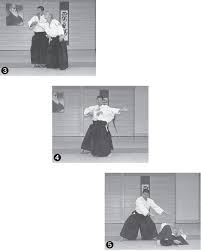 Image result for Kokyu Aikido Association