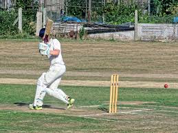 Image result for Chichester Priory Park Cc