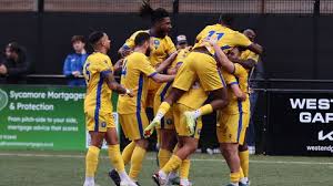 Image result for Epsom & Ewell Football Club