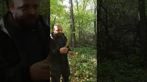 Картинки по запросу белку зажевало в диск