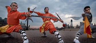 Image result for kung fu