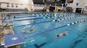 Image result for Grimsby Alexander Dolphins Swimming Club