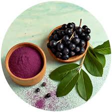 Attēlu rezultāti vaicājumam “Aronia melanocarpa fruit”