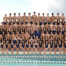 Image result for Isle Of Wight Swim Team