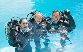 Image result for Great Western Divers