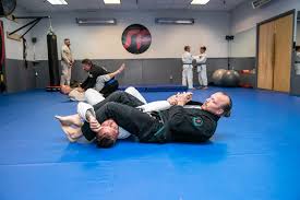 Image result for Impact Martial Arts