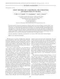 Attēlu rezultāti vaicājumam “Comatricha meandrispora”