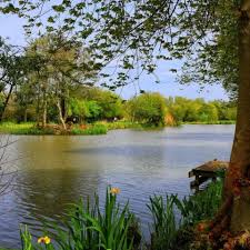 Image result for Reigate & District Angling Association