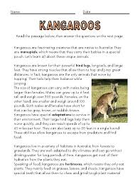 Image result for Reading Kangaroos