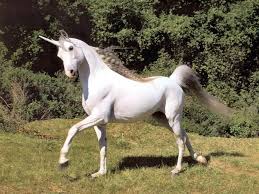 images?q=tbn:ANd9GcRWy4EICZ7fUJDLN2VX9kzp7OVcsEgA3pEWUioPkM8-CWZZ8sohYXvaluOUVw