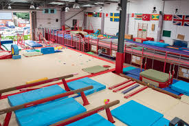 Image result for Basingstoke Gymnastics Club