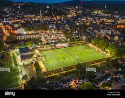 Image result for Dorking Wanderers F C