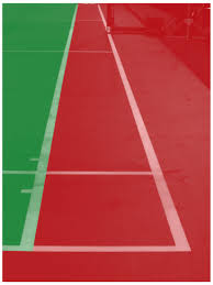 Image result for Delco Electronics Senior Badminton Club