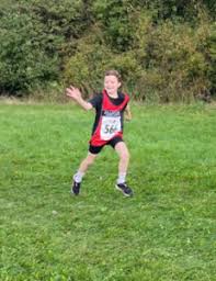 Image result for Billingham Marsh House Harriers