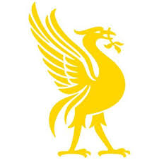 Image result for Merseyside judo association