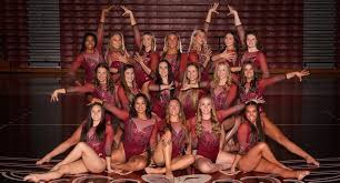 Image result for Uttoxeter Gymnastics Club