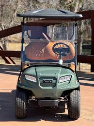 Image result for Cargreen Yacht Club Ltd