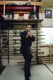 Image result for M-S-N Ninjutsu (Bujinkan) Club