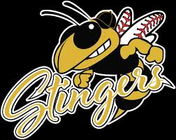 Image result for Stingers Korfball Club