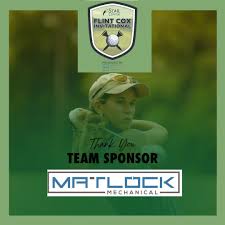 Image result for Matlock Cricket Club