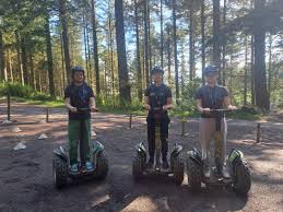 Image result for Go Ape! Whinlatter