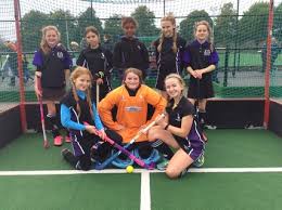 Image result for Pelicans Hockey Club