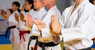 Image result for Kees Tae Kwon Do